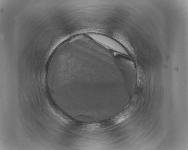 X0000072960156200608111659