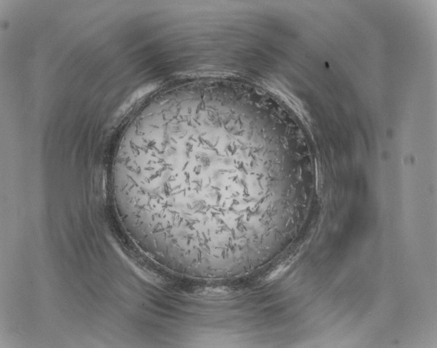 X0000072960157200608111659