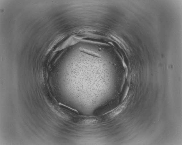 X0000072960158200608111659