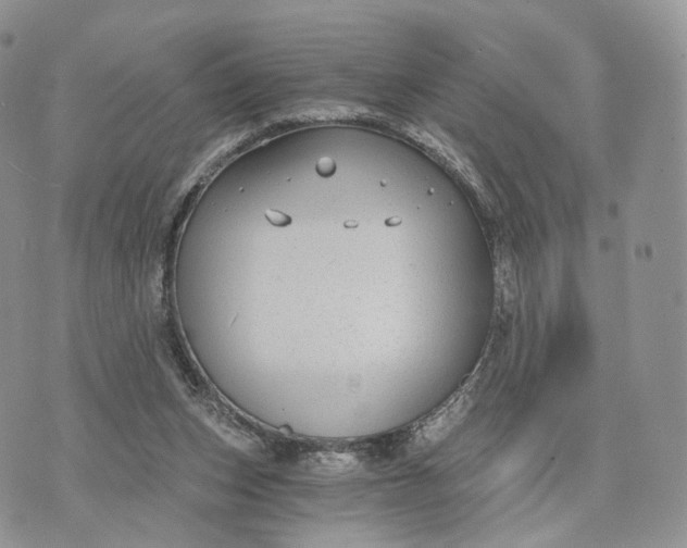 X0000072960159200608111659