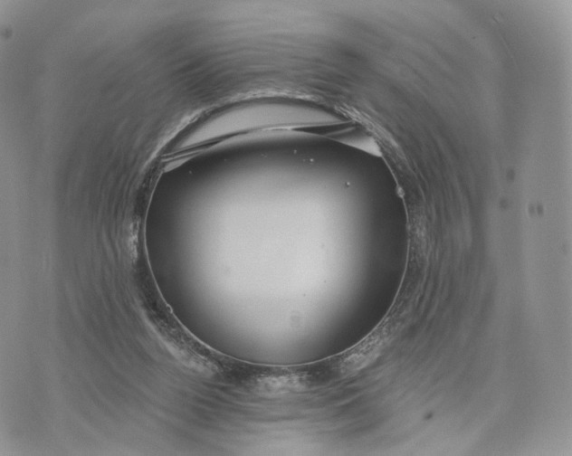 X0000072960160200608111700