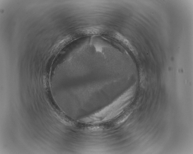 X0000072960161200608111700