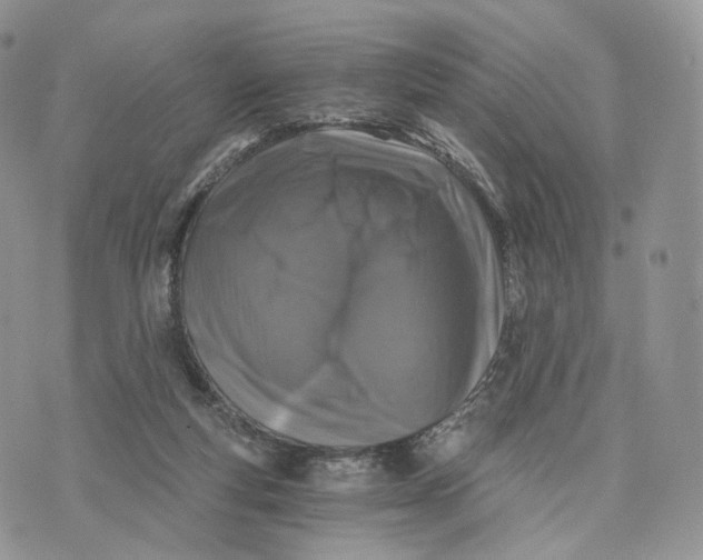 X0000072960163200608111700