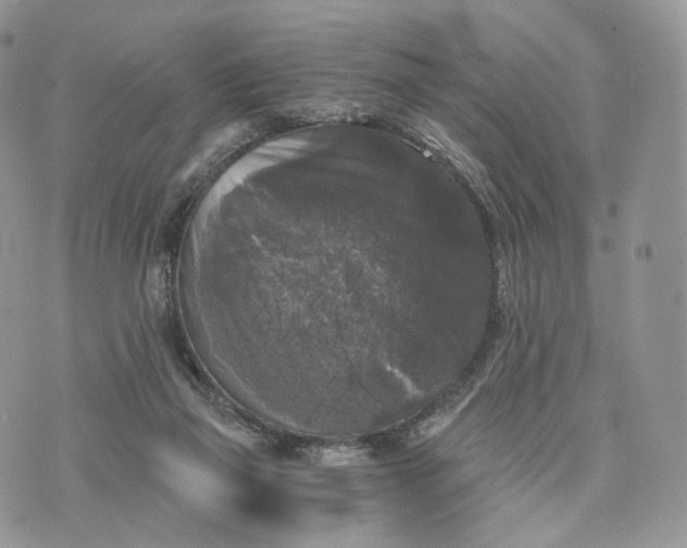 X0000072960165200608111700