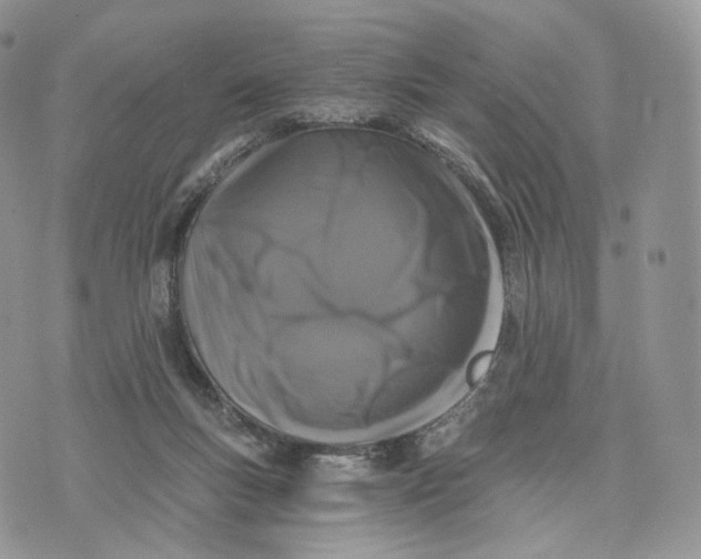 X0000072960167200608111700