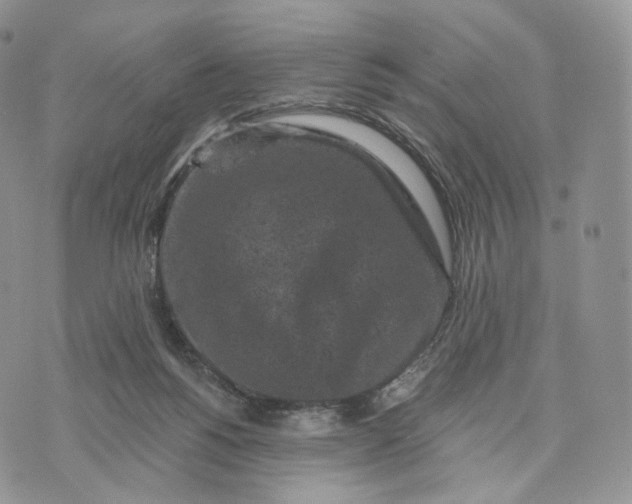 X0000072960168200608111700