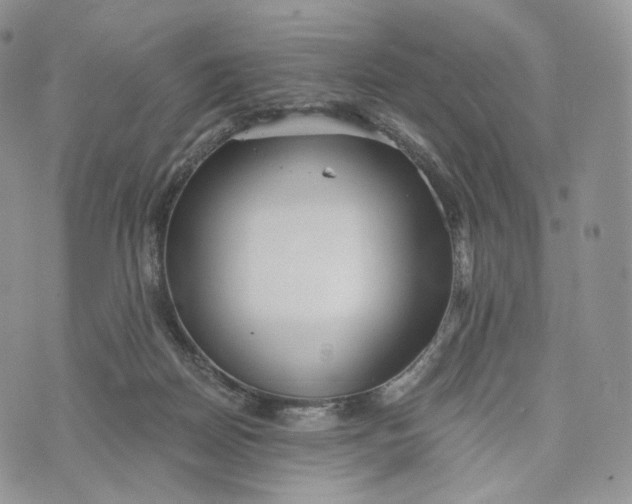 X0000072960170200608111700