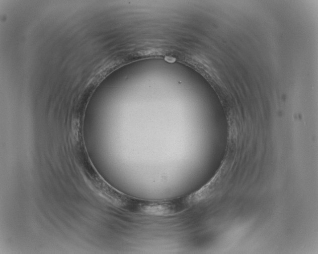 X0000072960171200608111700