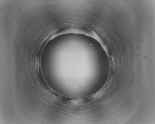 X0000072960172200608111700