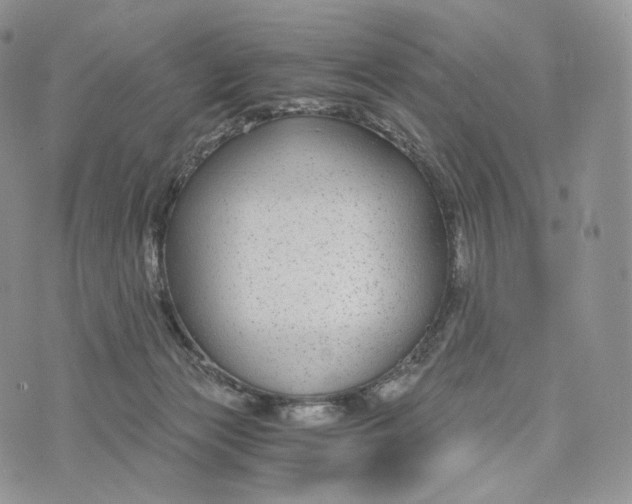 X0000072960173200608111700