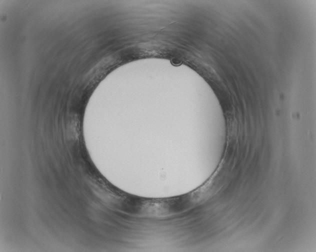 X0000072960174200608111700