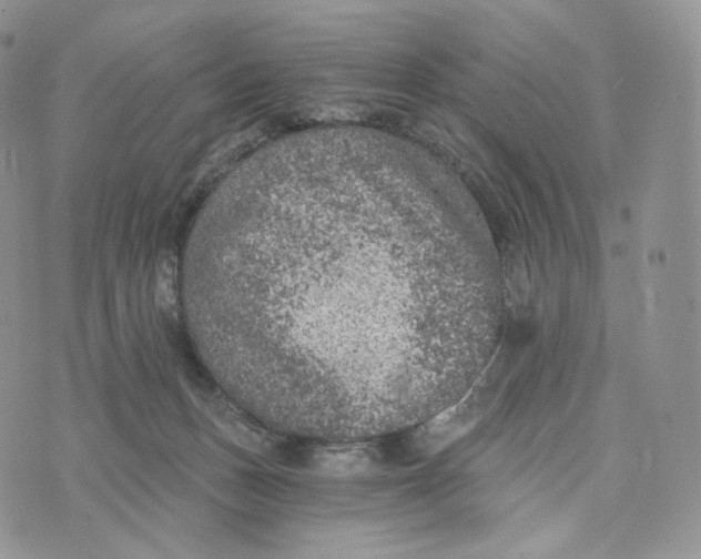 X0000072960175200608111700