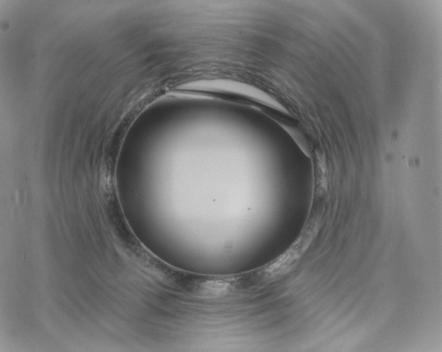 X0000072960176200608111700