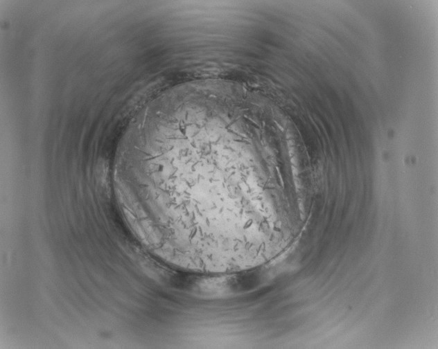 X0000072960178200608111700