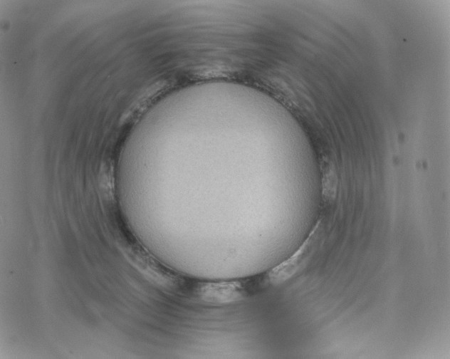 X0000072960179200608111700