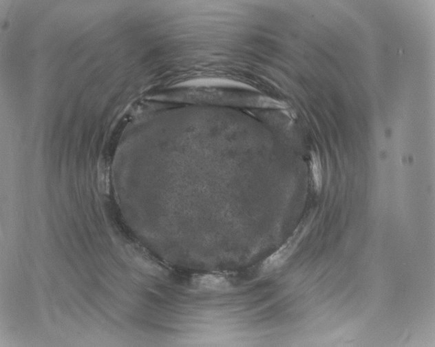 X0000072960180200608111700