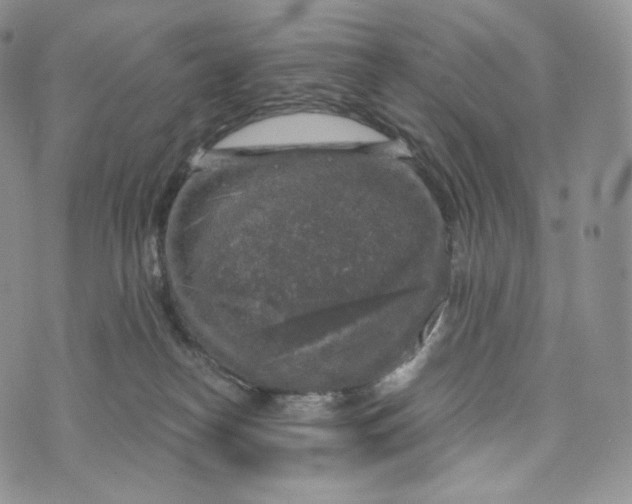 X0000072960182200608111700