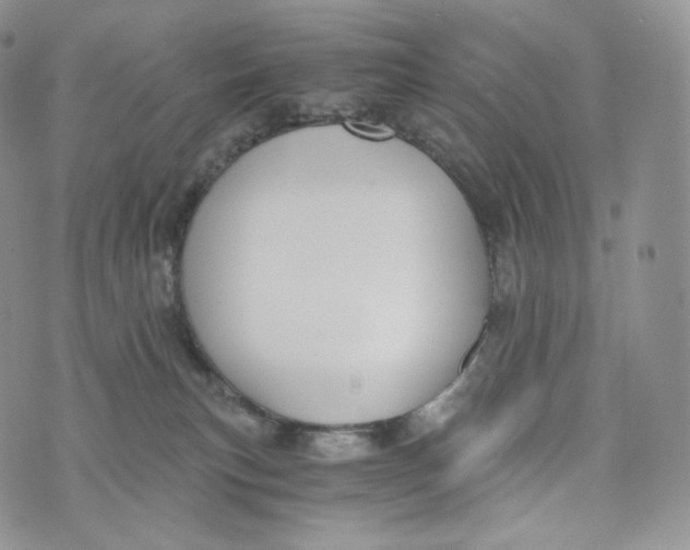 X0000072960183200608111700