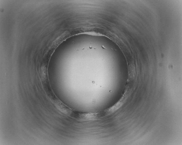 X0000072960184200608111700