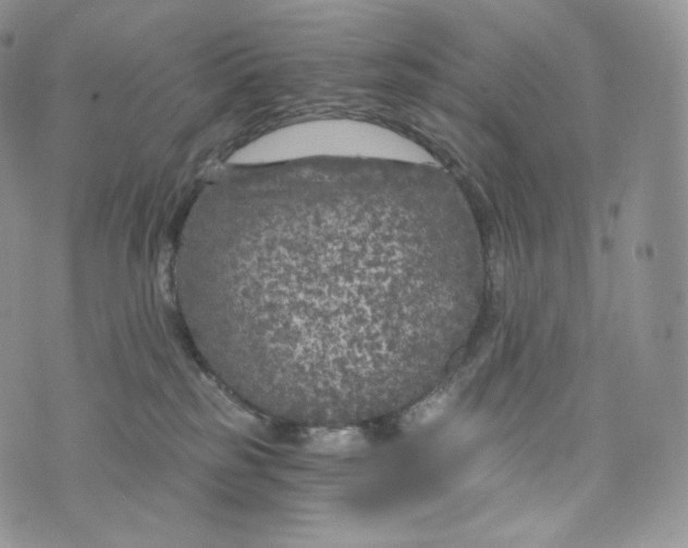 X0000072960185200608111700