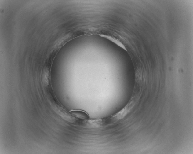 X0000072960188200608111700