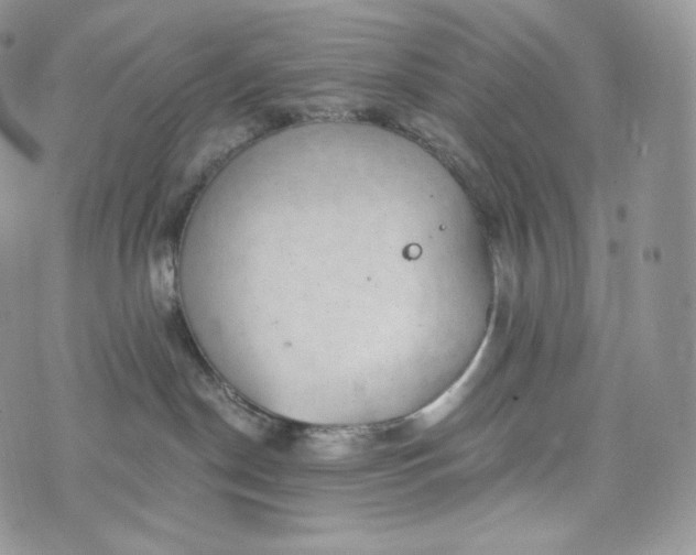 X0000072960190200608111700