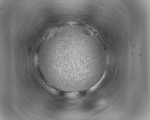 X0000072960191200608111700