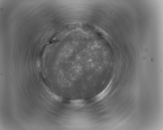 X0000072960192200608111700