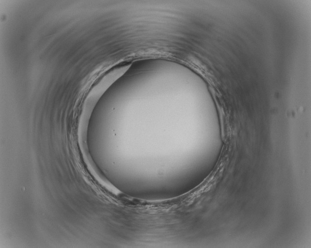 X0000072960193200608111659