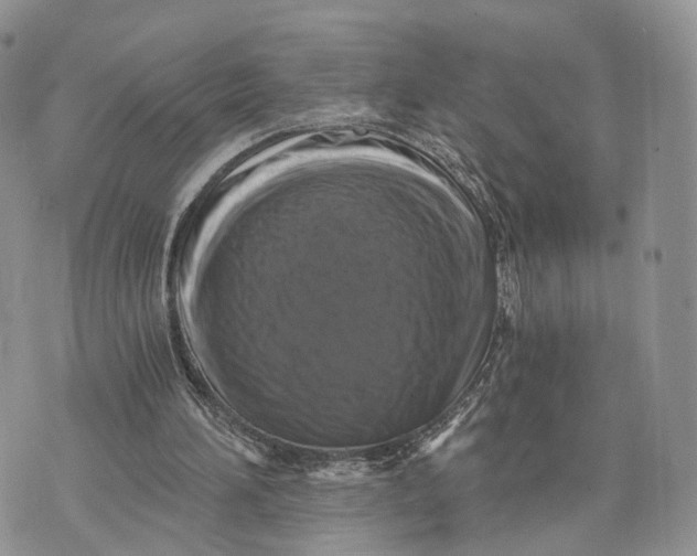 X0000072960196200608111659