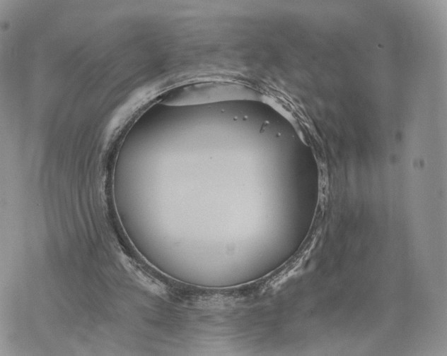 X0000072960197200608111659