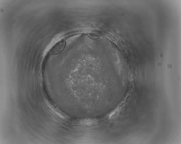 X0000072960198200608111659