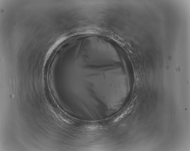 X0000072960200200608111659