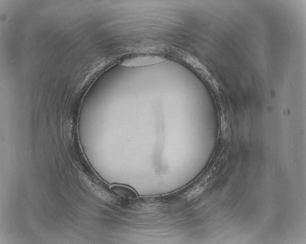 X0000072960201200608111659