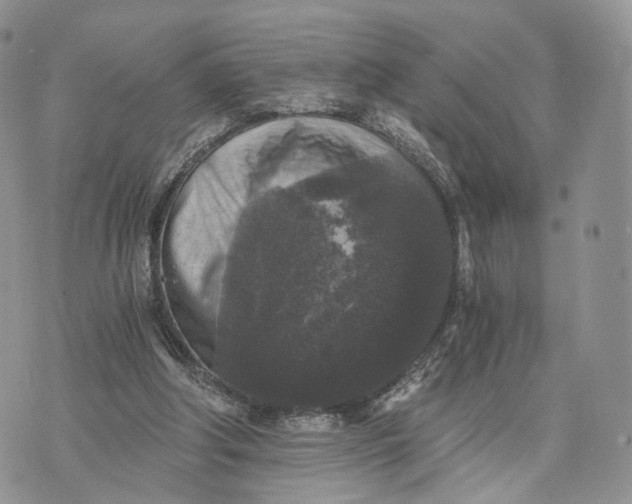 X0000072960202200608111659