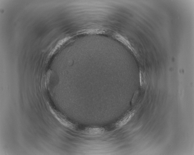 X0000072960205200608111659