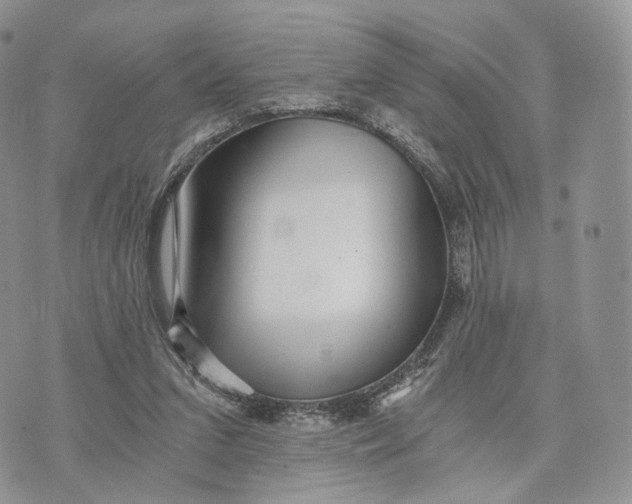 X0000072960207200608111659