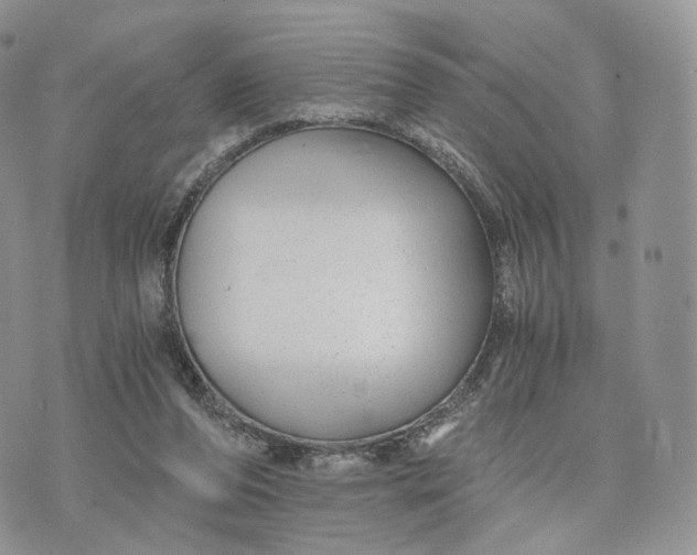 X0000072960208200608111659