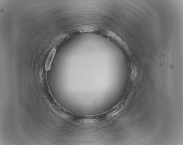 X0000072960209200608111659