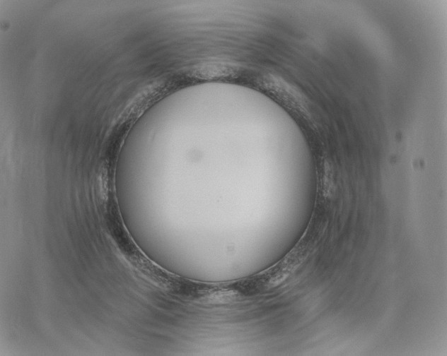 X0000072960210200608111659