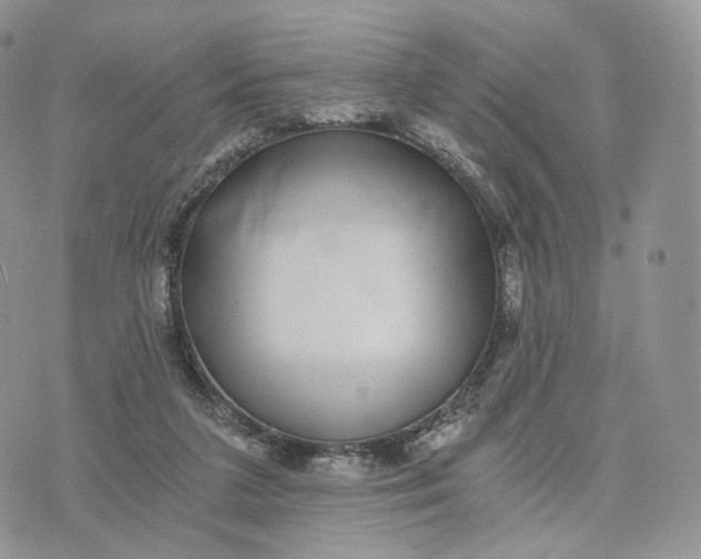 X0000072960211200608111659