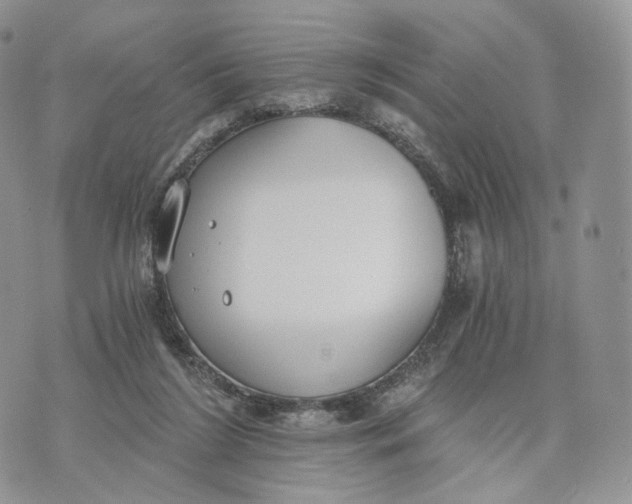 X0000072960212200608111659