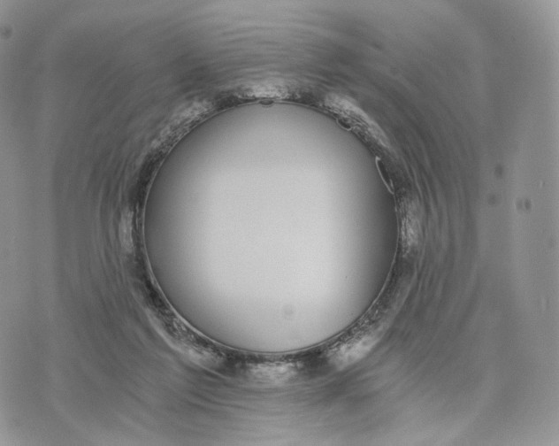 X0000072960213200608111659