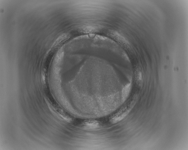 X0000072960214200608111659