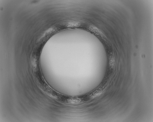 X0000072960215200608111659