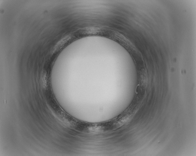 X0000072960216200608111659