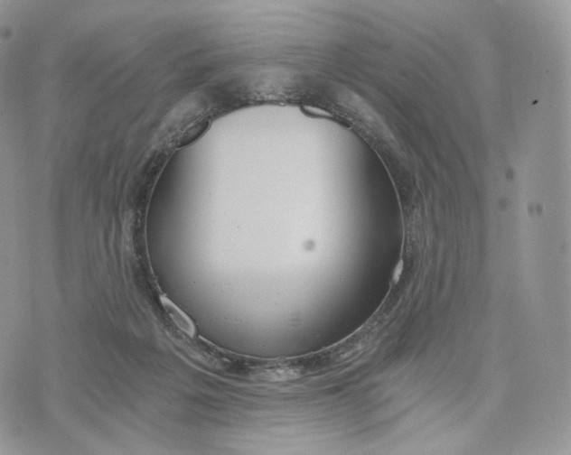 X0000072960217200608111659