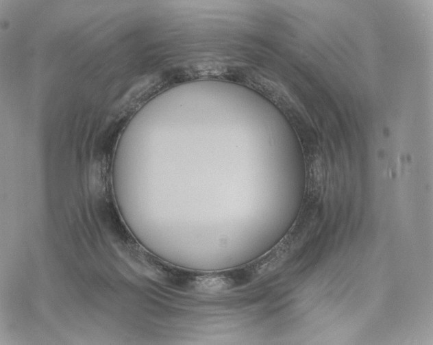 X0000072960218200608111659