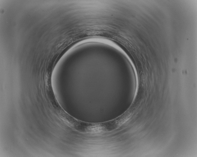 X0000072960219200608111659