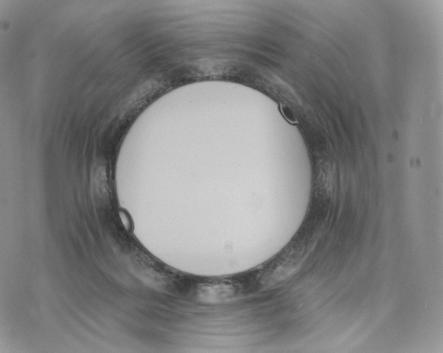 X0000072960220200608111659